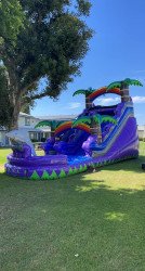 Slide 05 Purple Tropical Dolphin 01 1714374993 Water Slide 05 Purple Tropical Dolphin