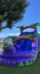 Slide 05 Purple Tropical Dolphin 02 1714374993 Water Slide 05 Purple Tropical Dolphin